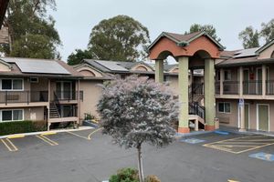 Alojamiento - Olive Tree Inn & Suites