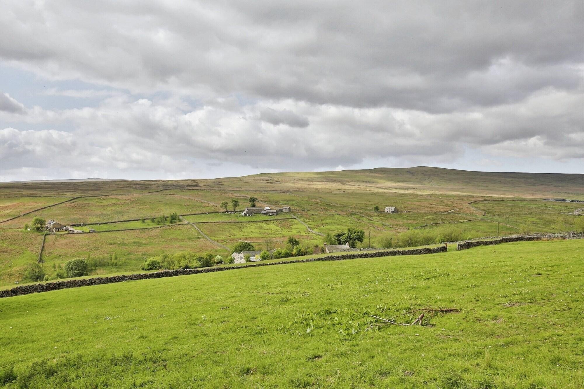 Varios Lanehead Old School