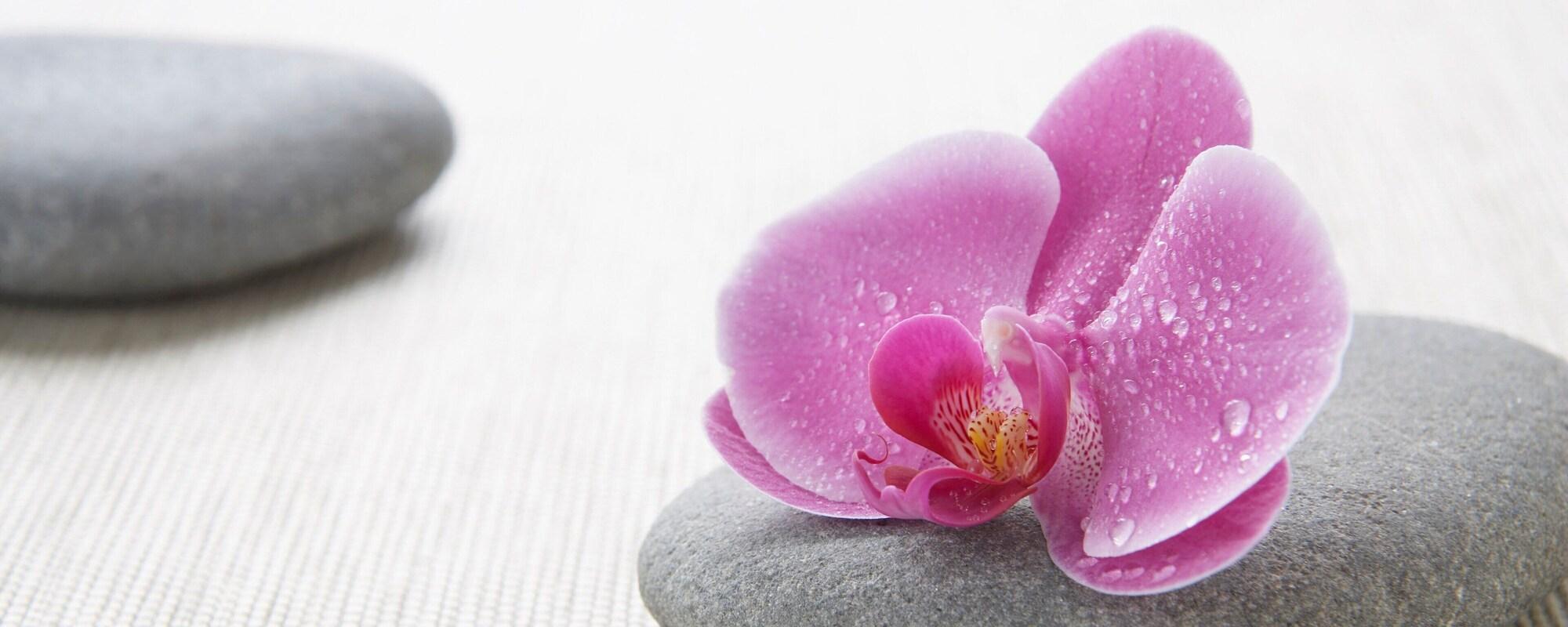 Spa Westchester Marriott