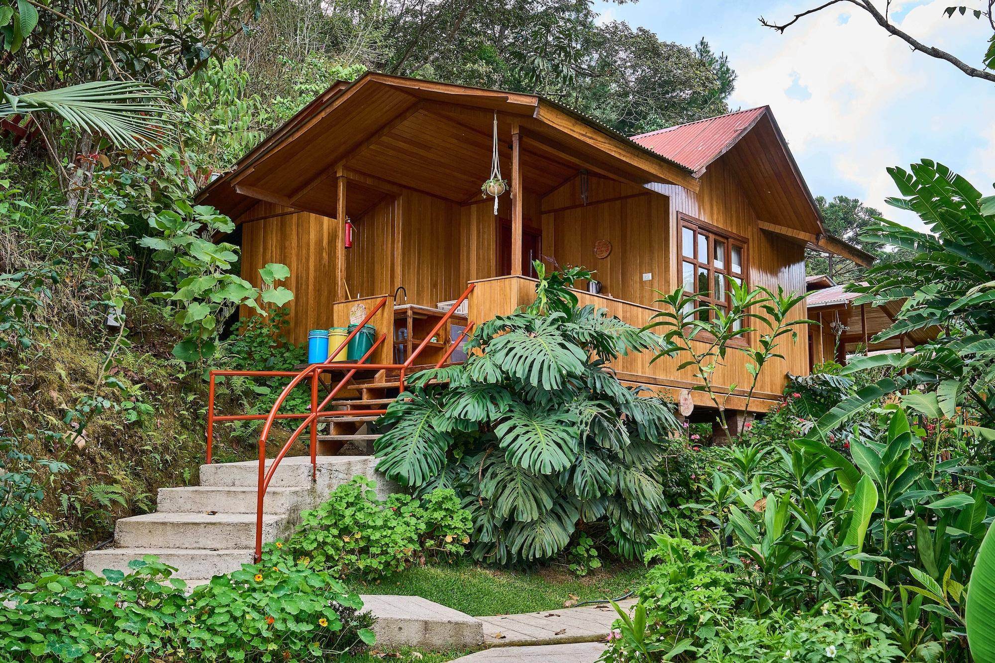 Varios Carolina Egg Gasthaus