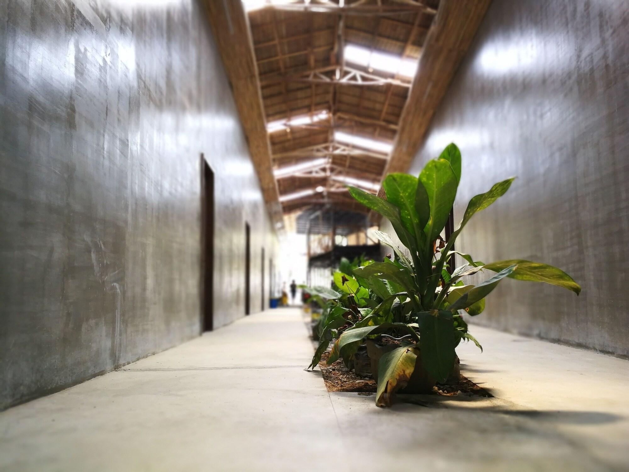 Vista Exterior Big Paul Hostel - Adults Only