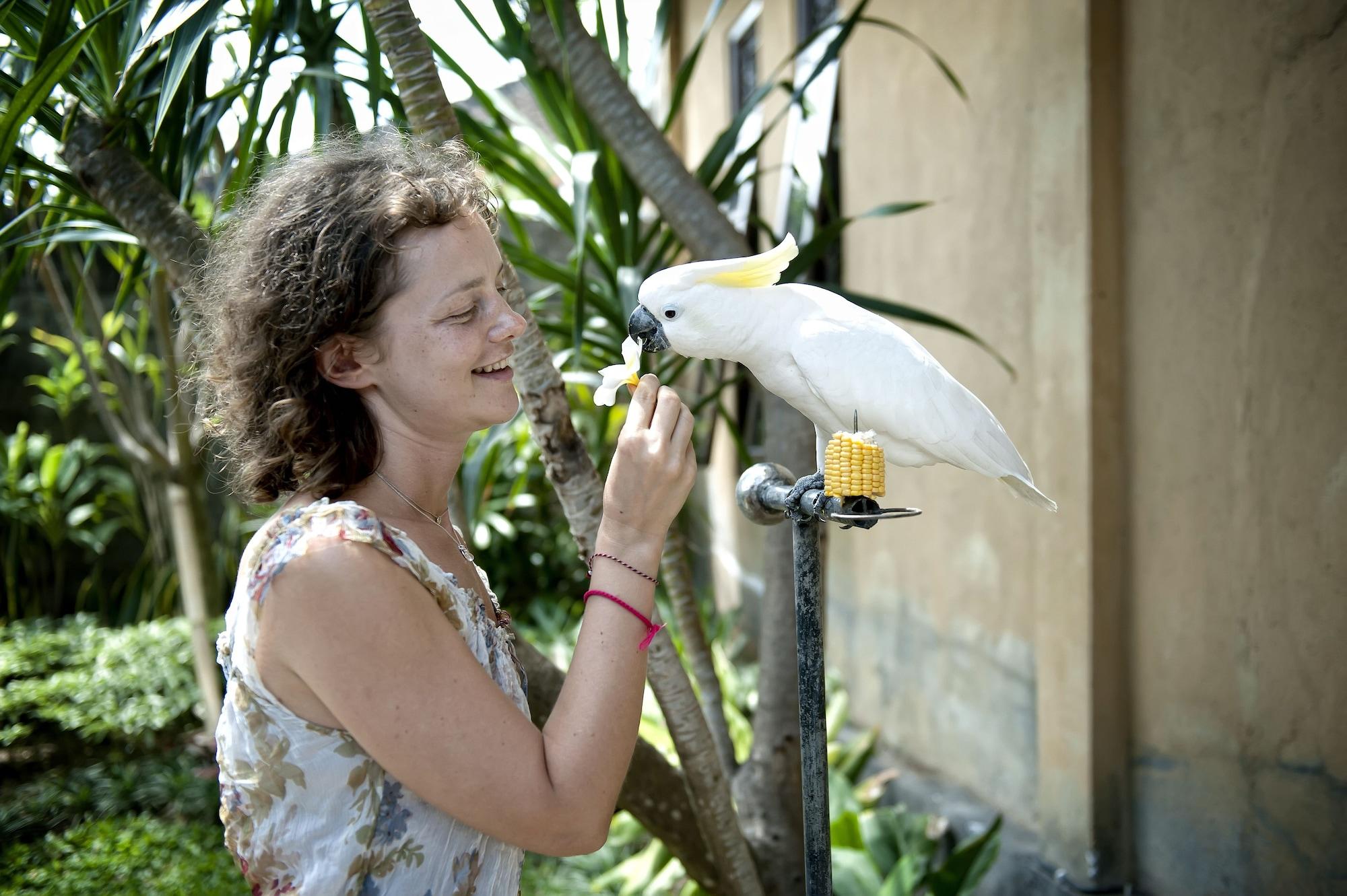 Vista Exterior Teja Homestay