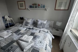 Arriendo temporal - Right next to the nature reserve! Great for dogs and nature lovers
