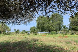 Alojamiento - thihawa eco huts yala