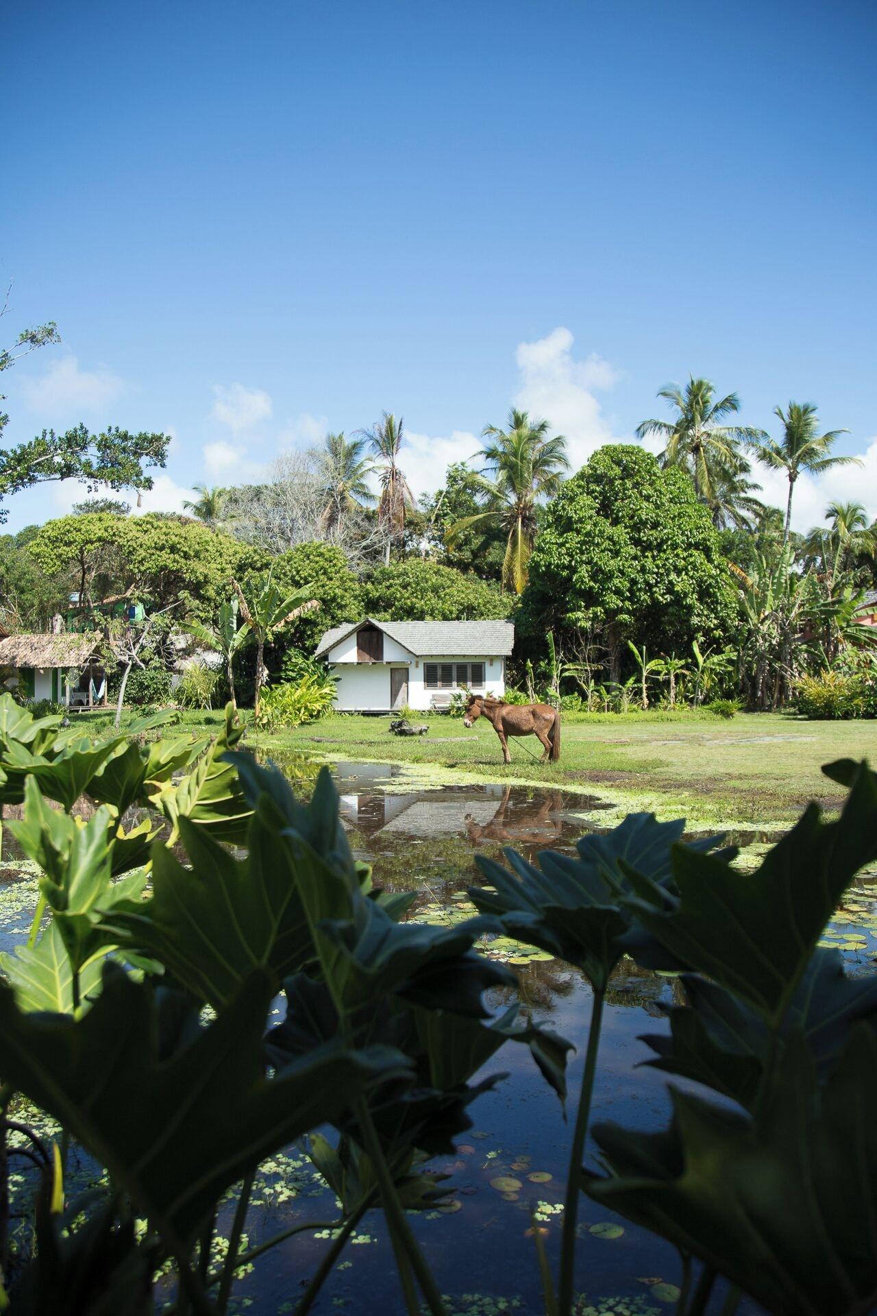 Vista Lobby Pousada Lagoa