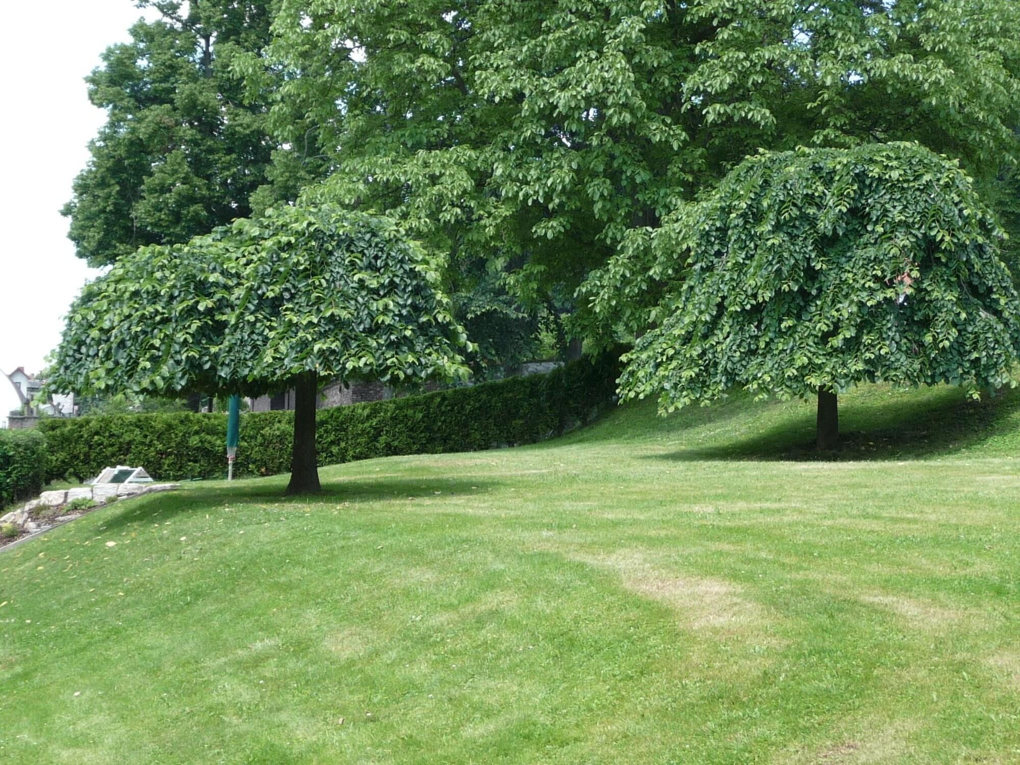 Equipamiento de Habitación Blue Pension