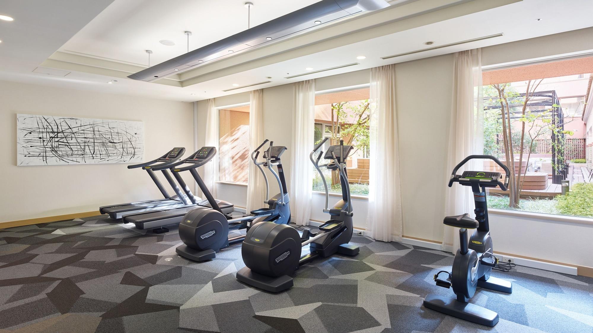Gimnasio Hotel The Celestine Tokyo Shiba
