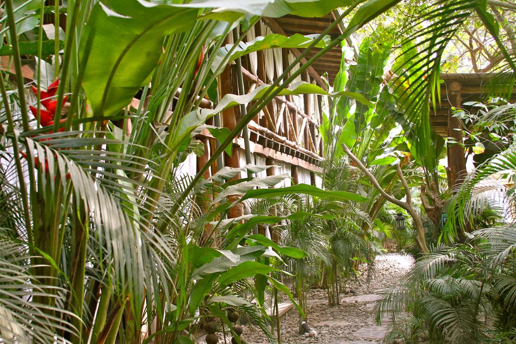 Varios Canaima Chill House