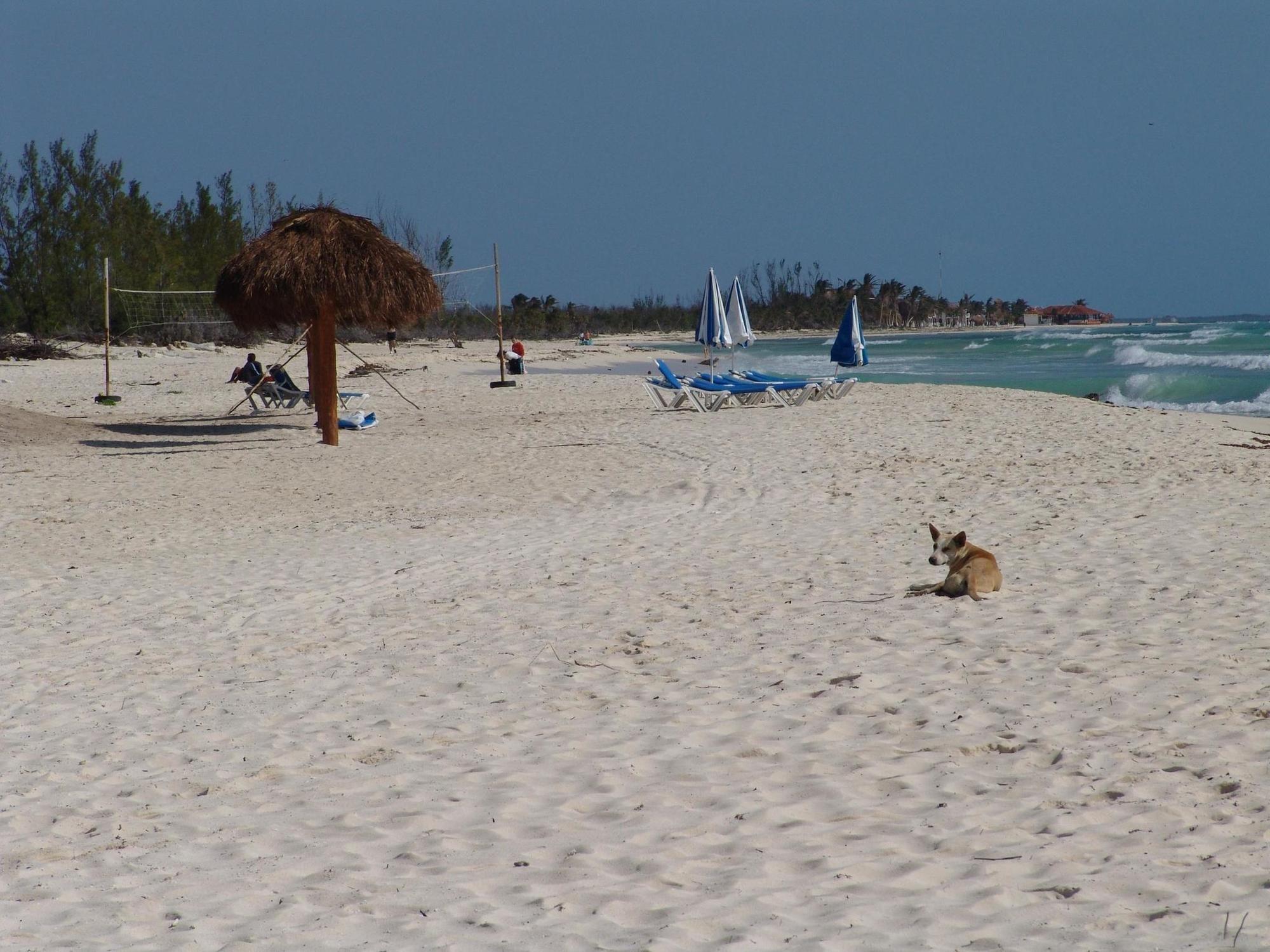Playa Cocos Cabañas