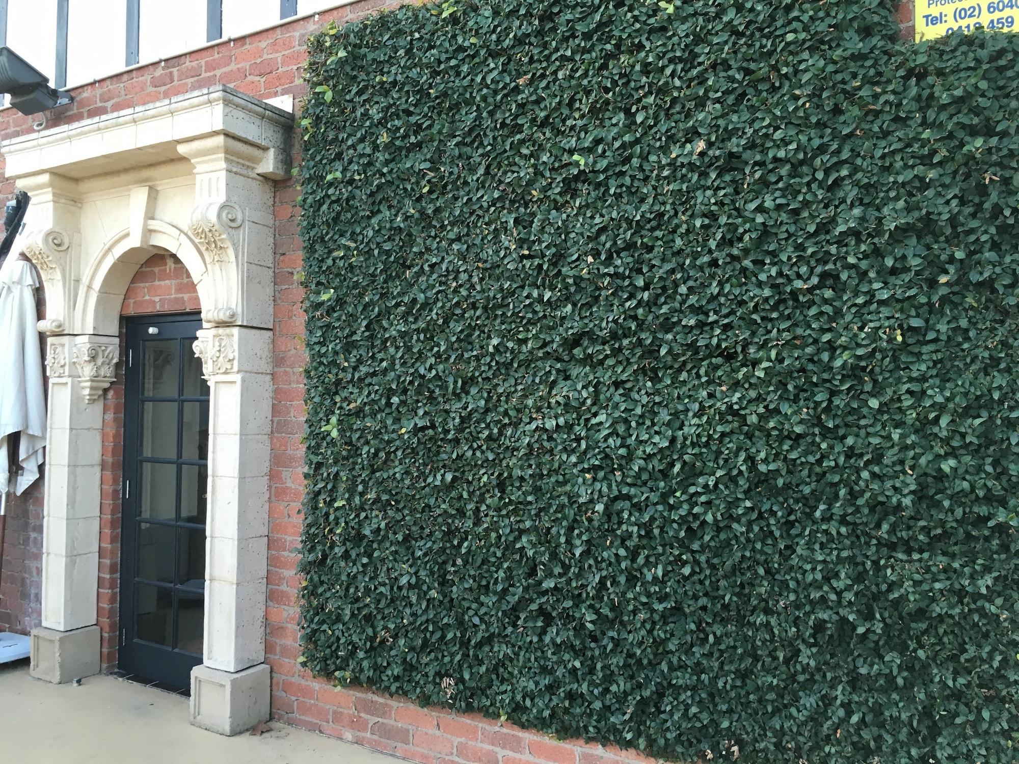 Vista Exterior Albury Manor House