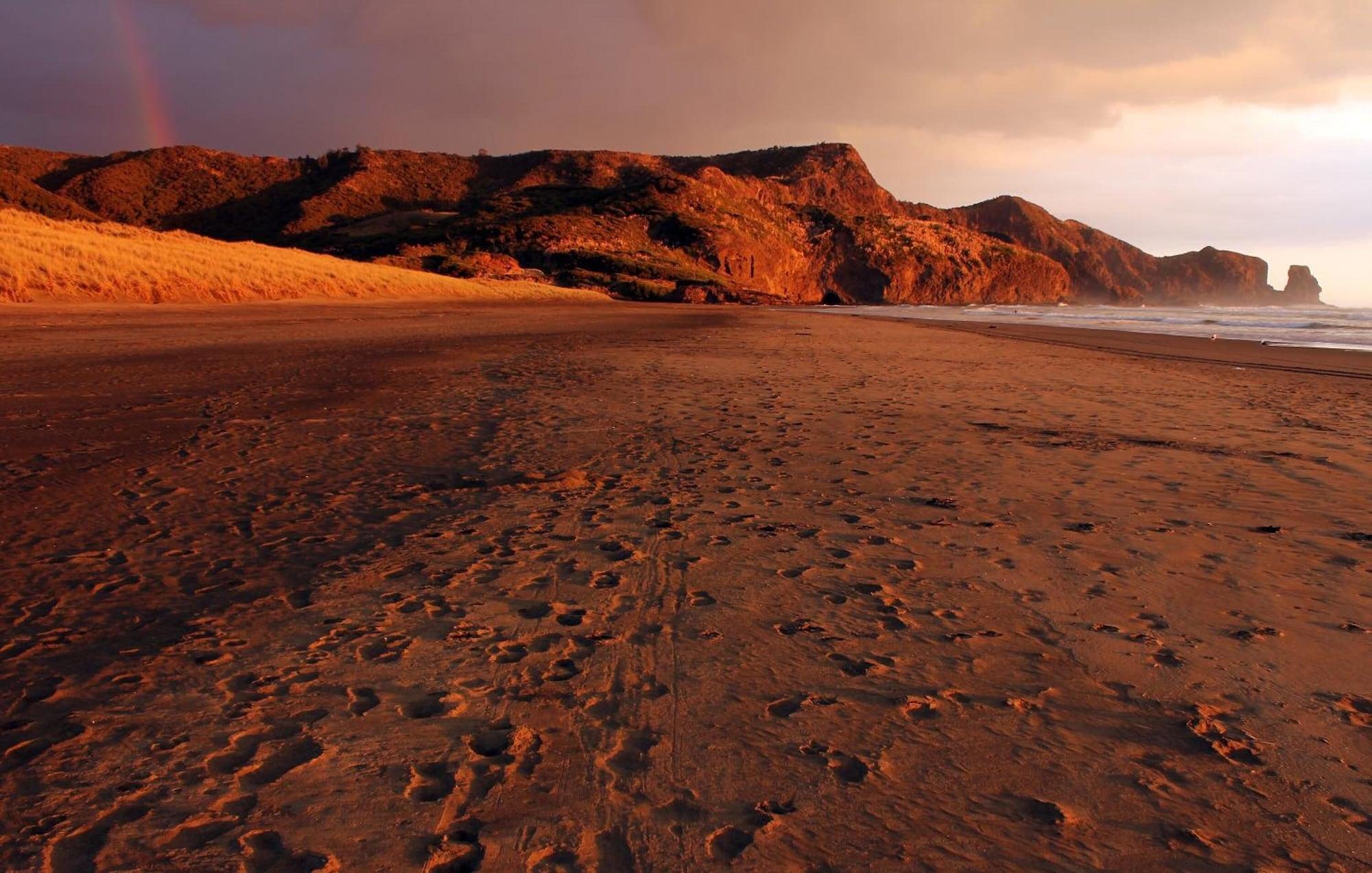 Playa Maison de Rose