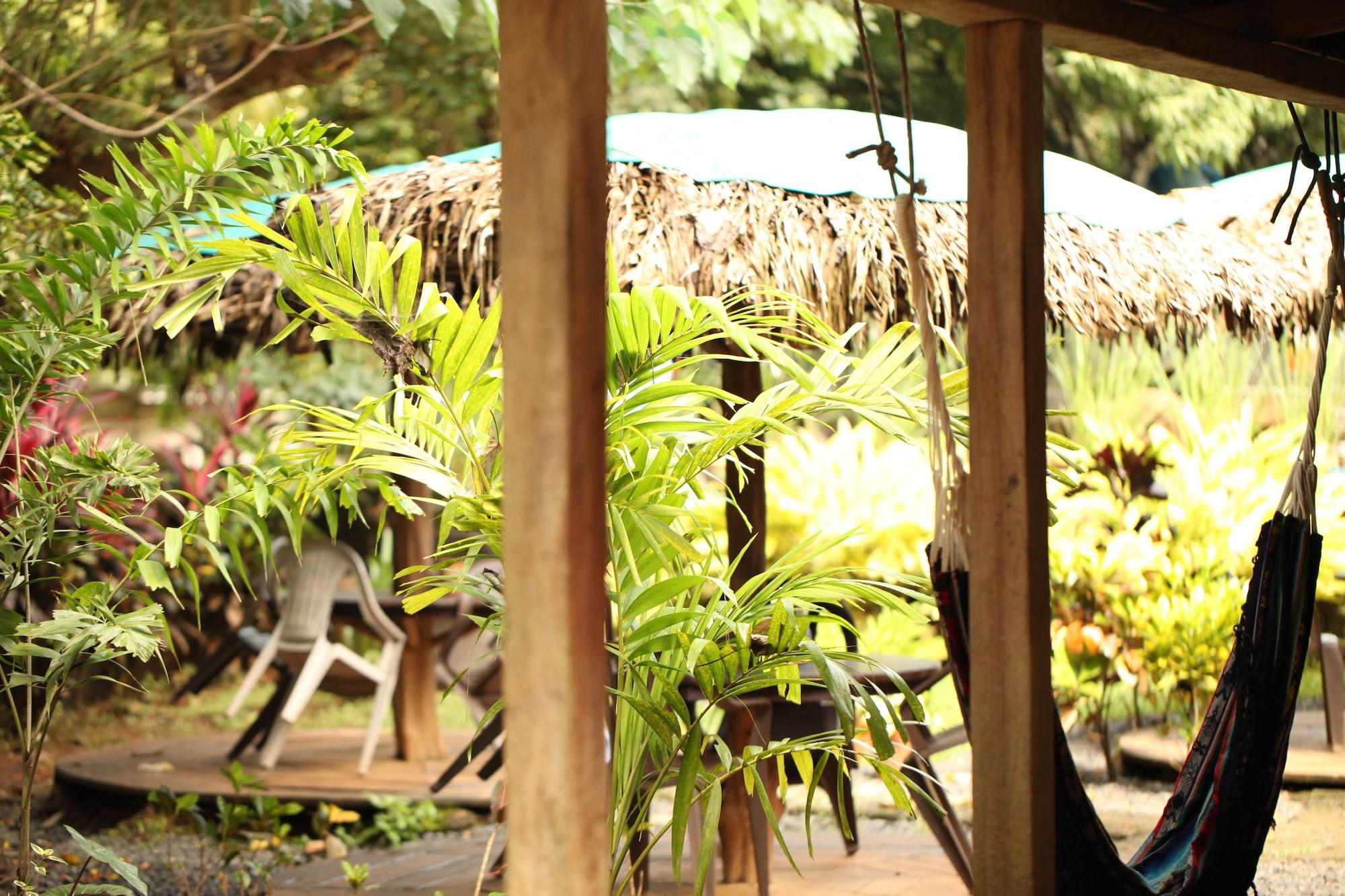 Vista Lobby Tiki Lodge Bar & Restaurant - Hostel