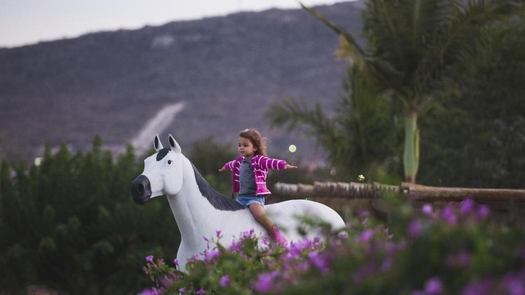 Varios Hotel Fazenda Portal de Gravatá