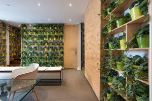 Alojamiento - Habitat Boutique Hotel
