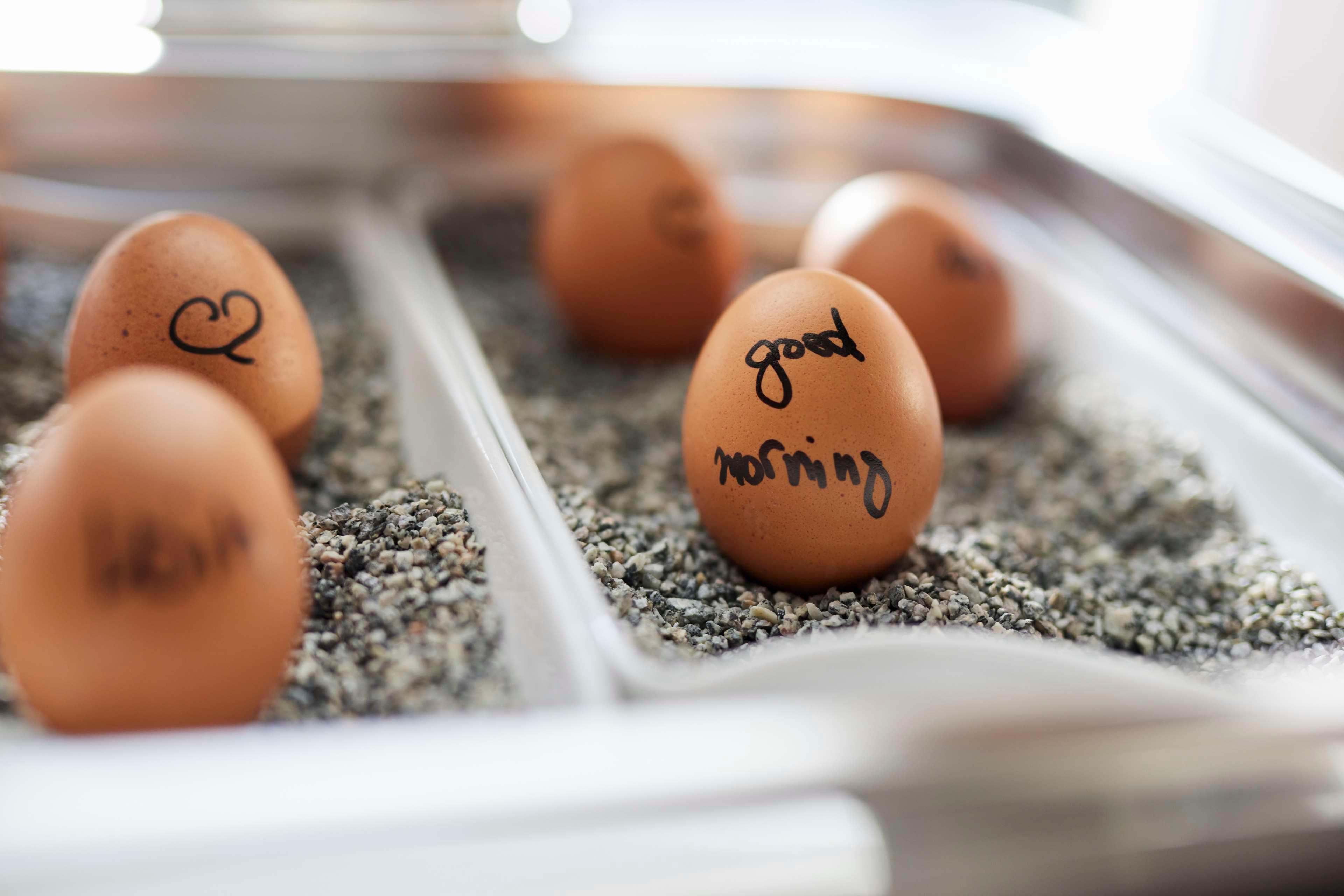 Restaurant Best Western Raphael Hotel Altona