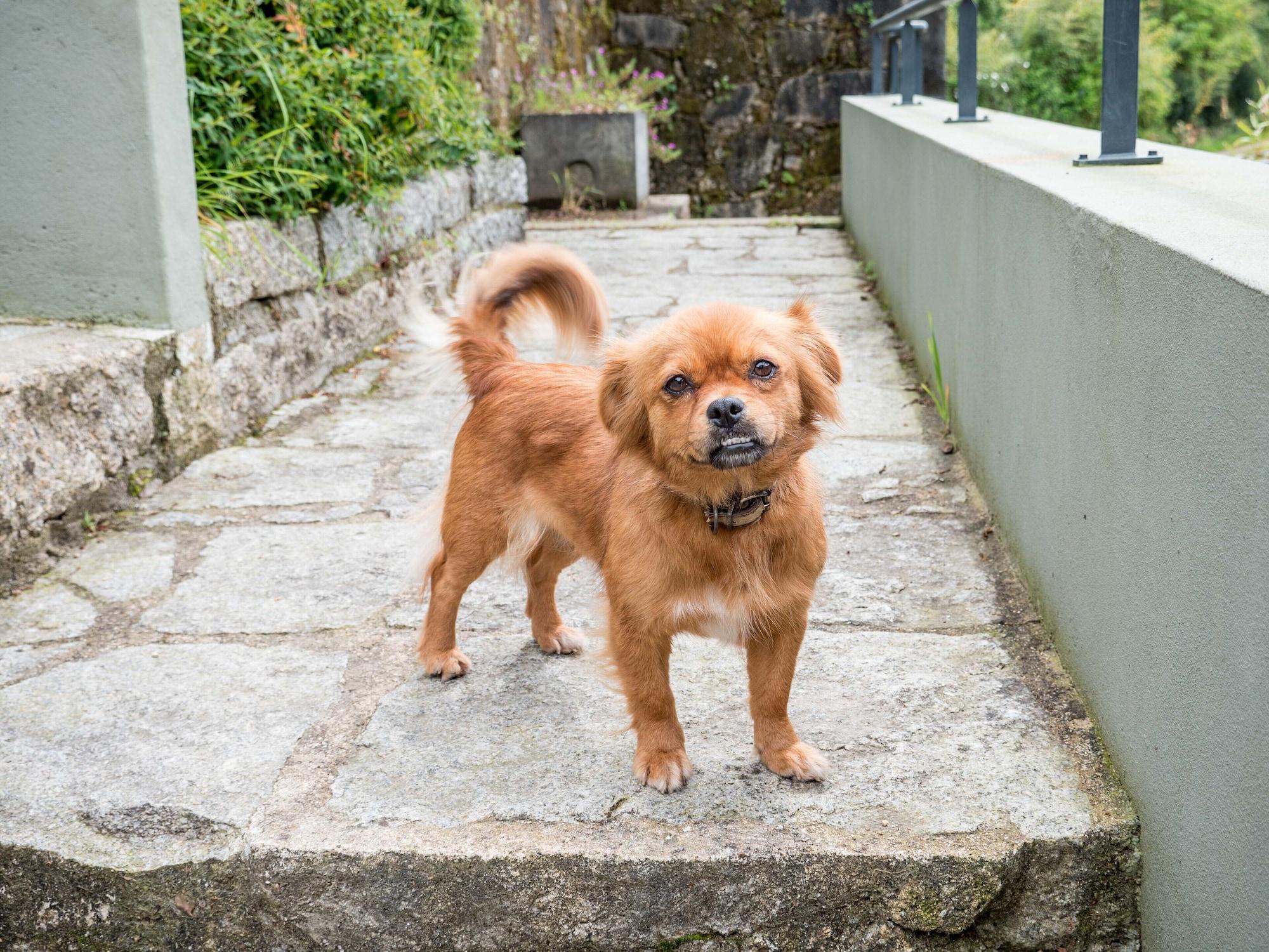 Vista Exterior Naturena