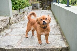 Alojamiento - Naturena