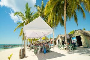 Actividad - Explore Saona Island VIP (Three Beaches + Natural Pool) - Full-Day Tour