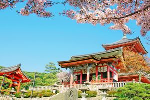 Package - Packages in Tokyo