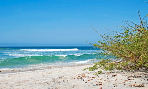Punta Negra