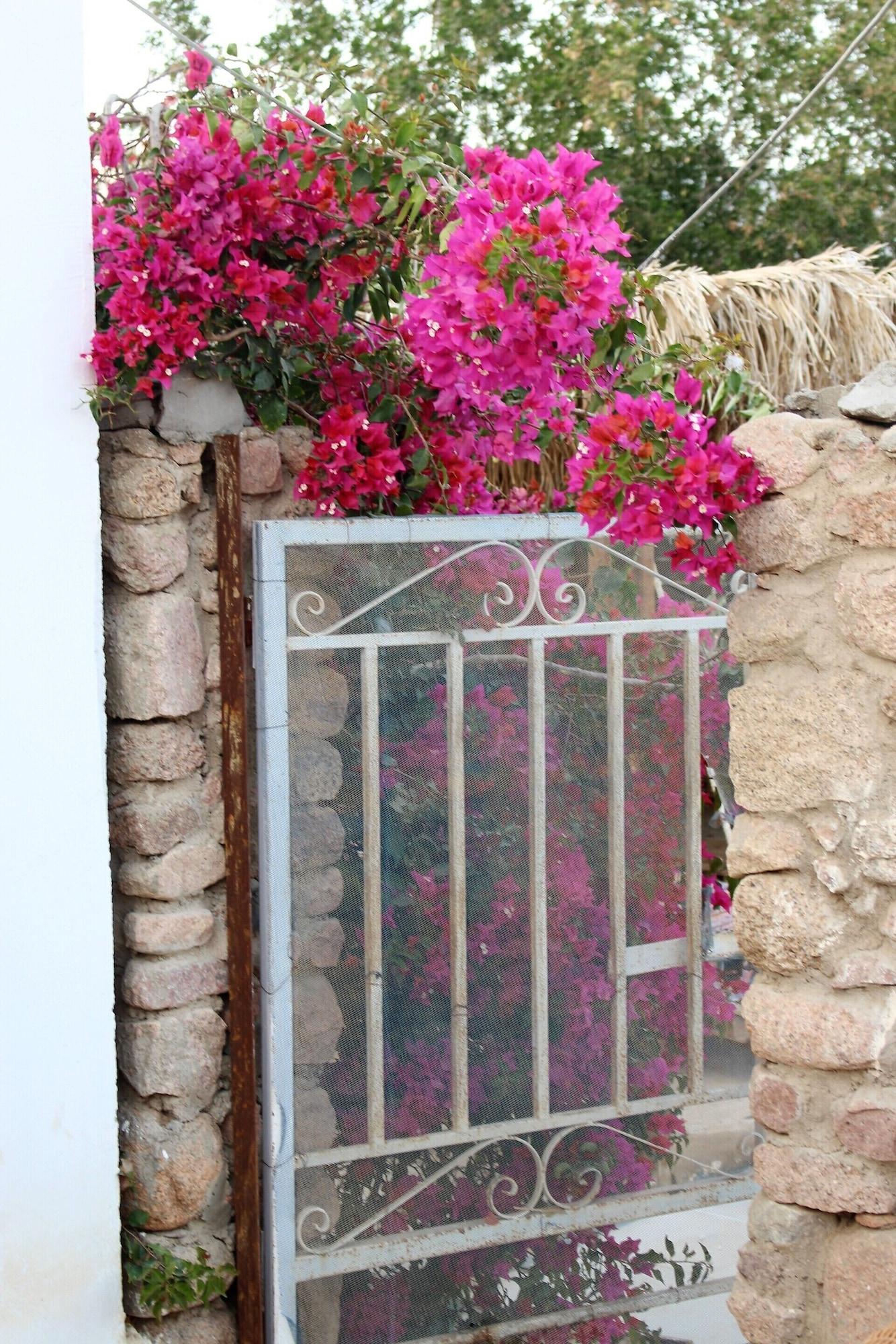 Vista Exterior Sinai Old Spices B&B