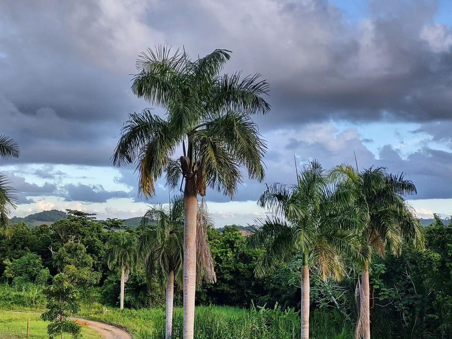 Vista Exterior Tierra Adentro Bed & Breakfast