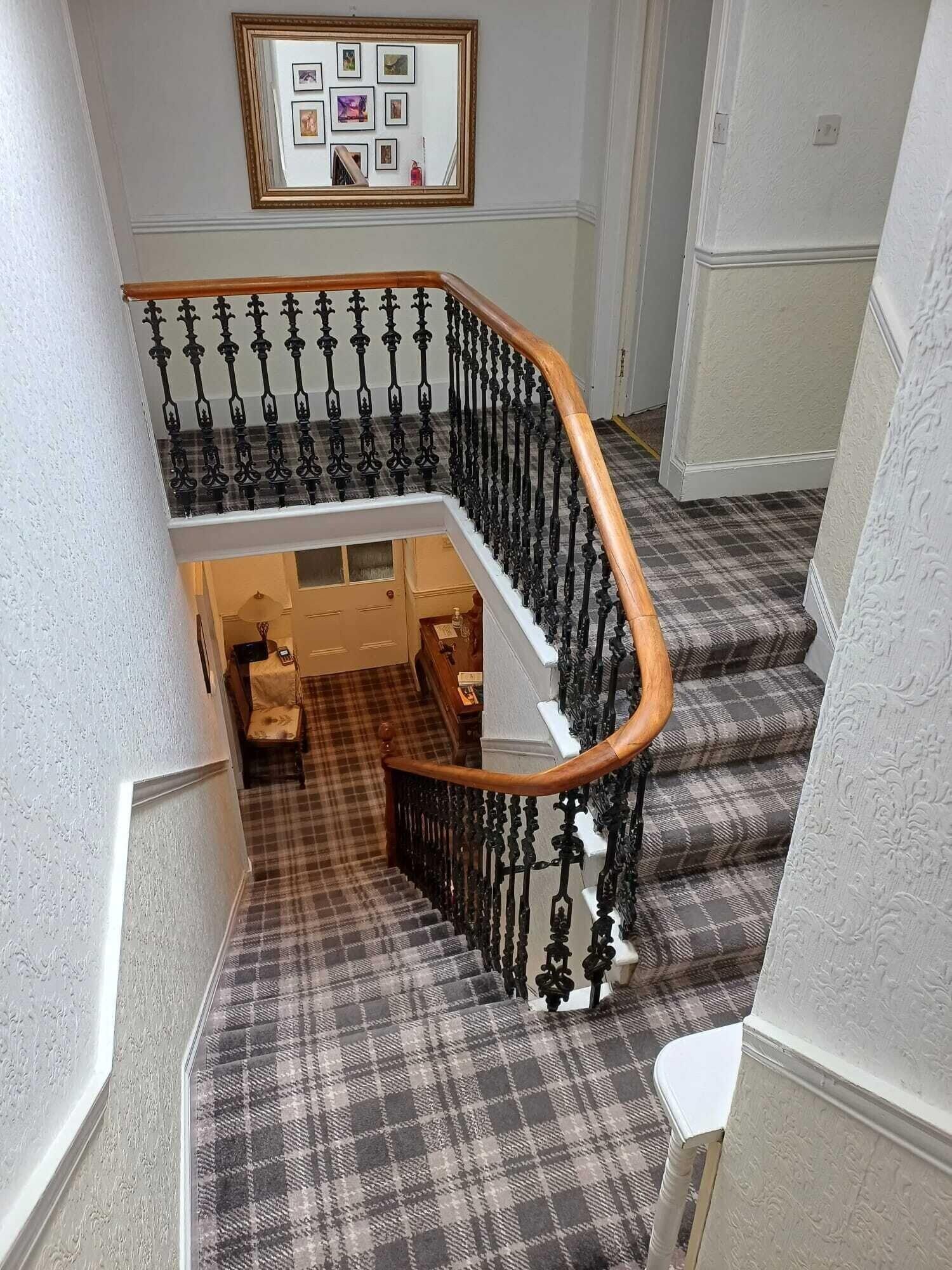 Varios Jacobite Rose