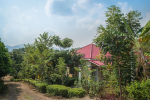 Alojamiento - Memoria Palace & Resort