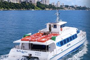 Actividad - Catamarán Directo de Salvador a Morro de São Paulo y Traslados