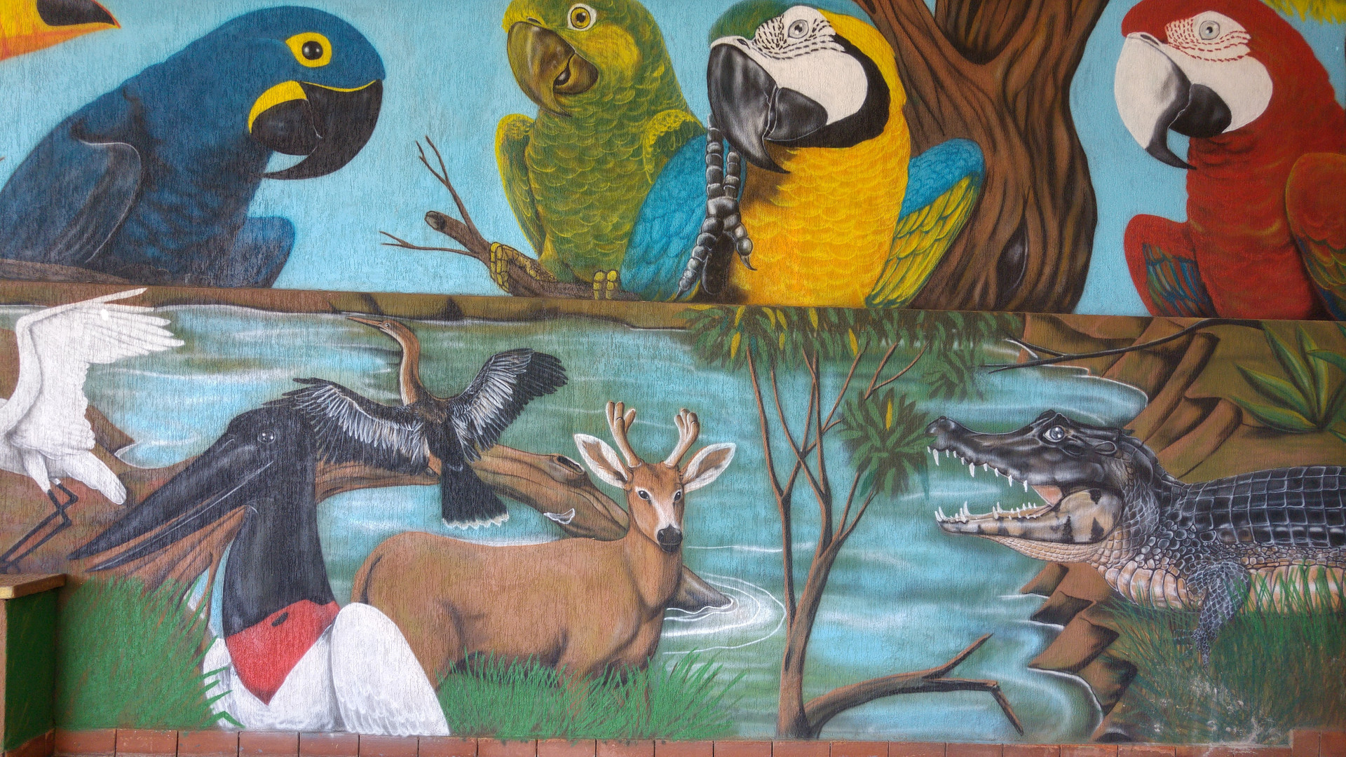 Vista Exterior Hotel Papaya