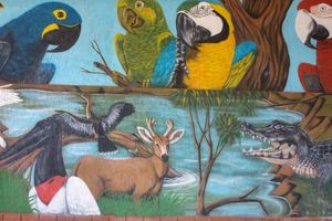 Alojamiento - Hotel Papaya