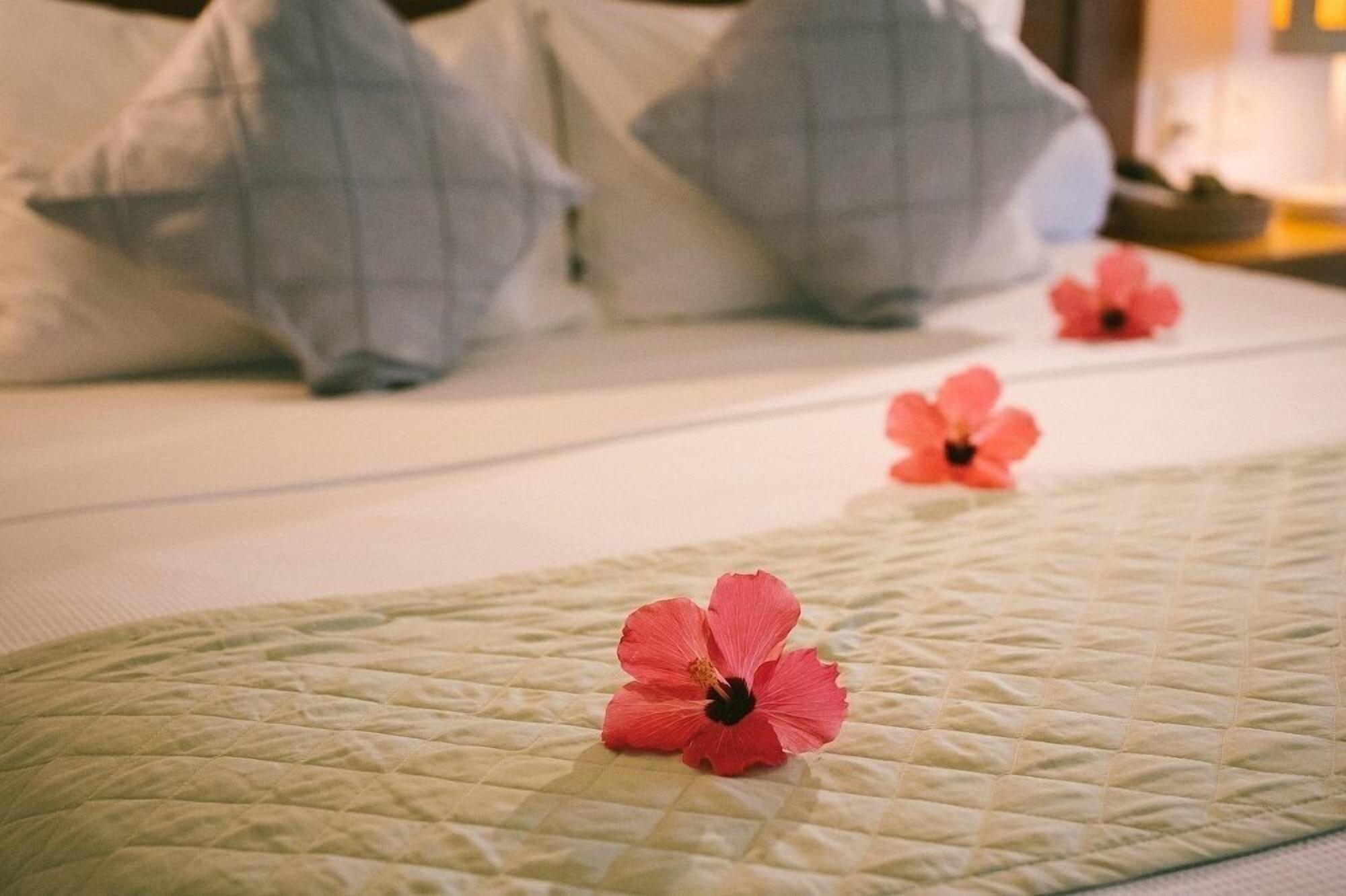 Habitación Pausa Hotel