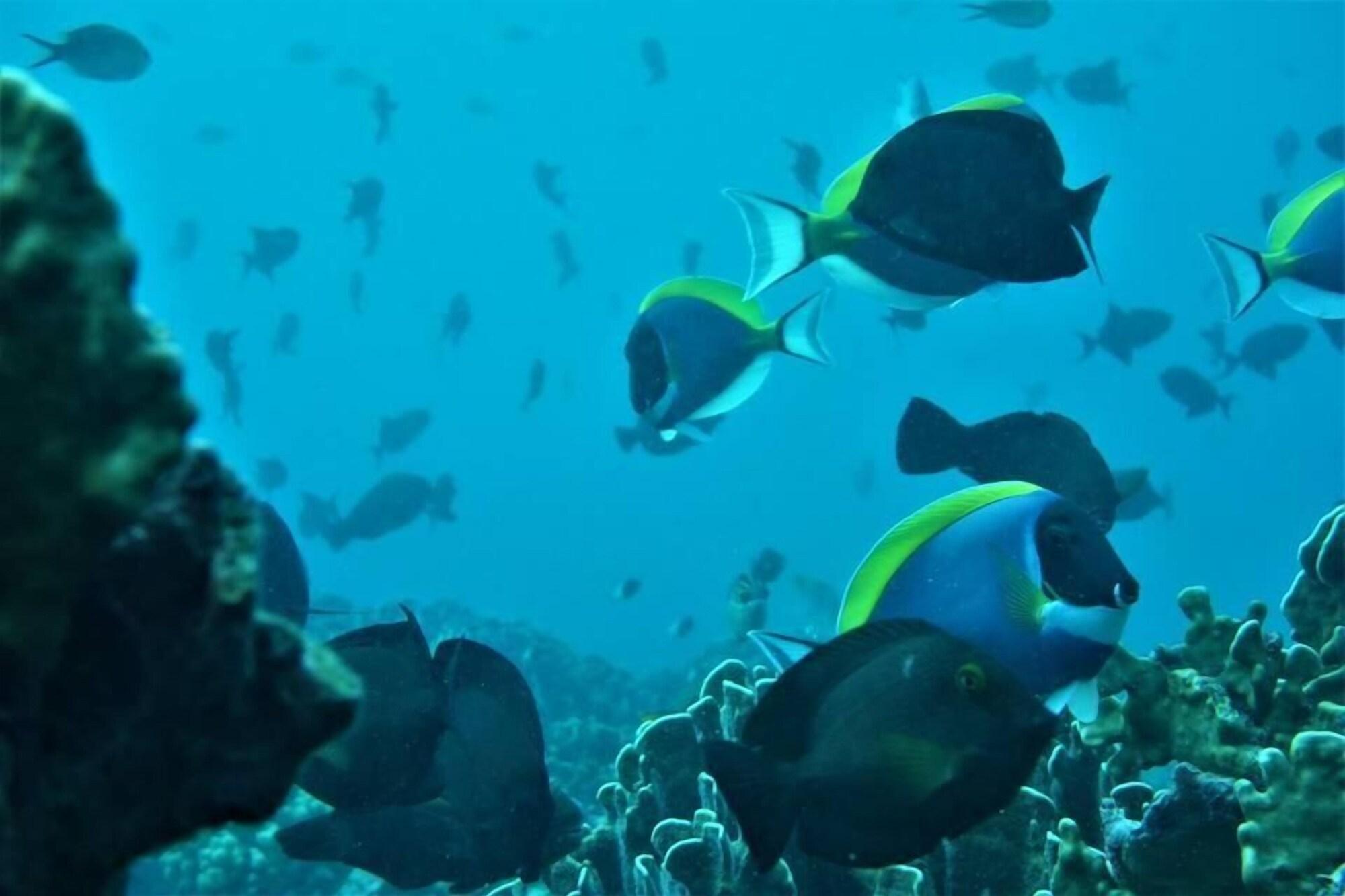 Gimnasio Pulau Weh Paradise