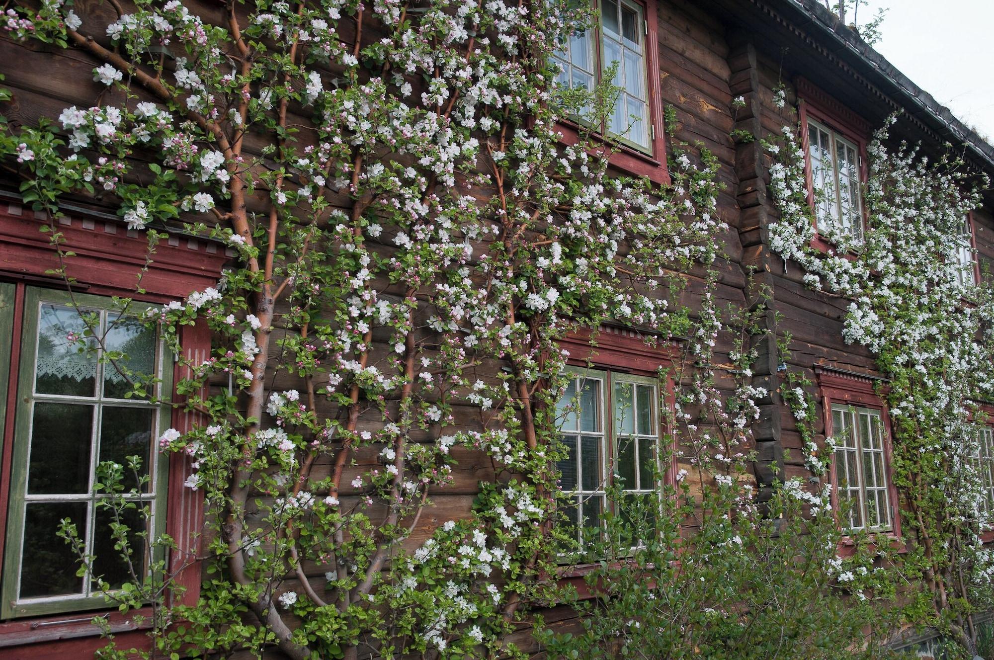 Vista Exterior Saga Trollheimen Hotel