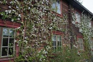 Alojamiento - Saga Trollheimen Hotel