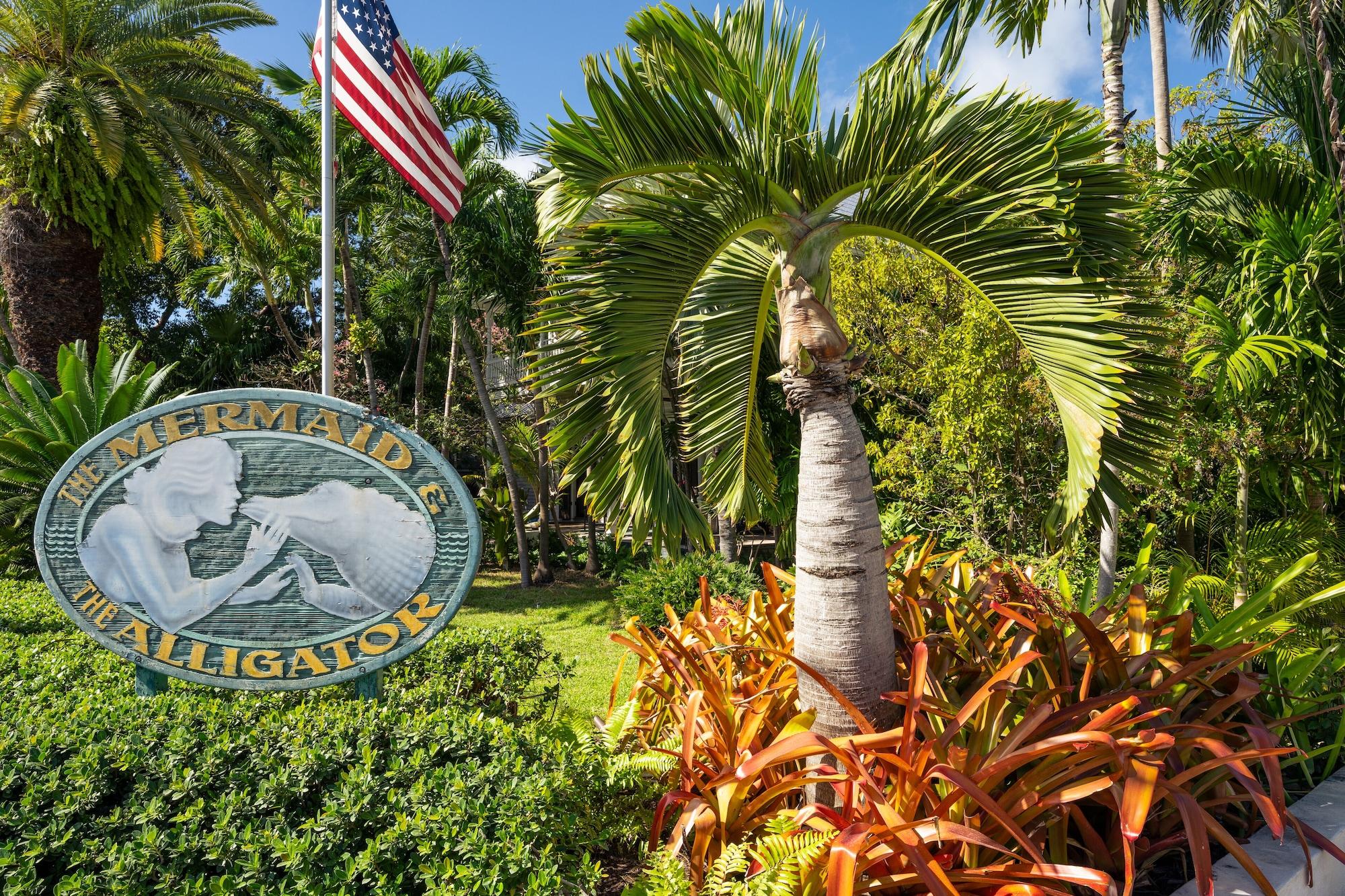 Vista Exterior The Mermaid & Alligator
