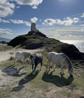 Alquiler Vacacional - Tranquil Retreat with Breathtaking View in Trefriw | Elegant 2-Bedroom Apartment