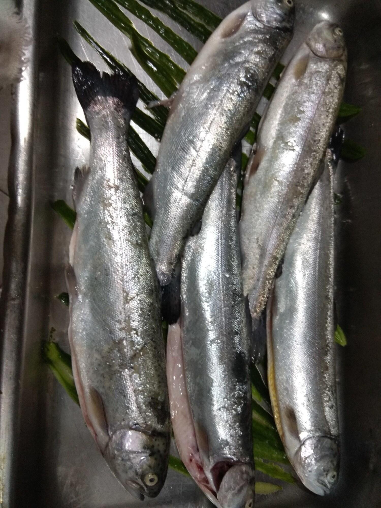 Restaurant Roots Hotel & Wine Bar