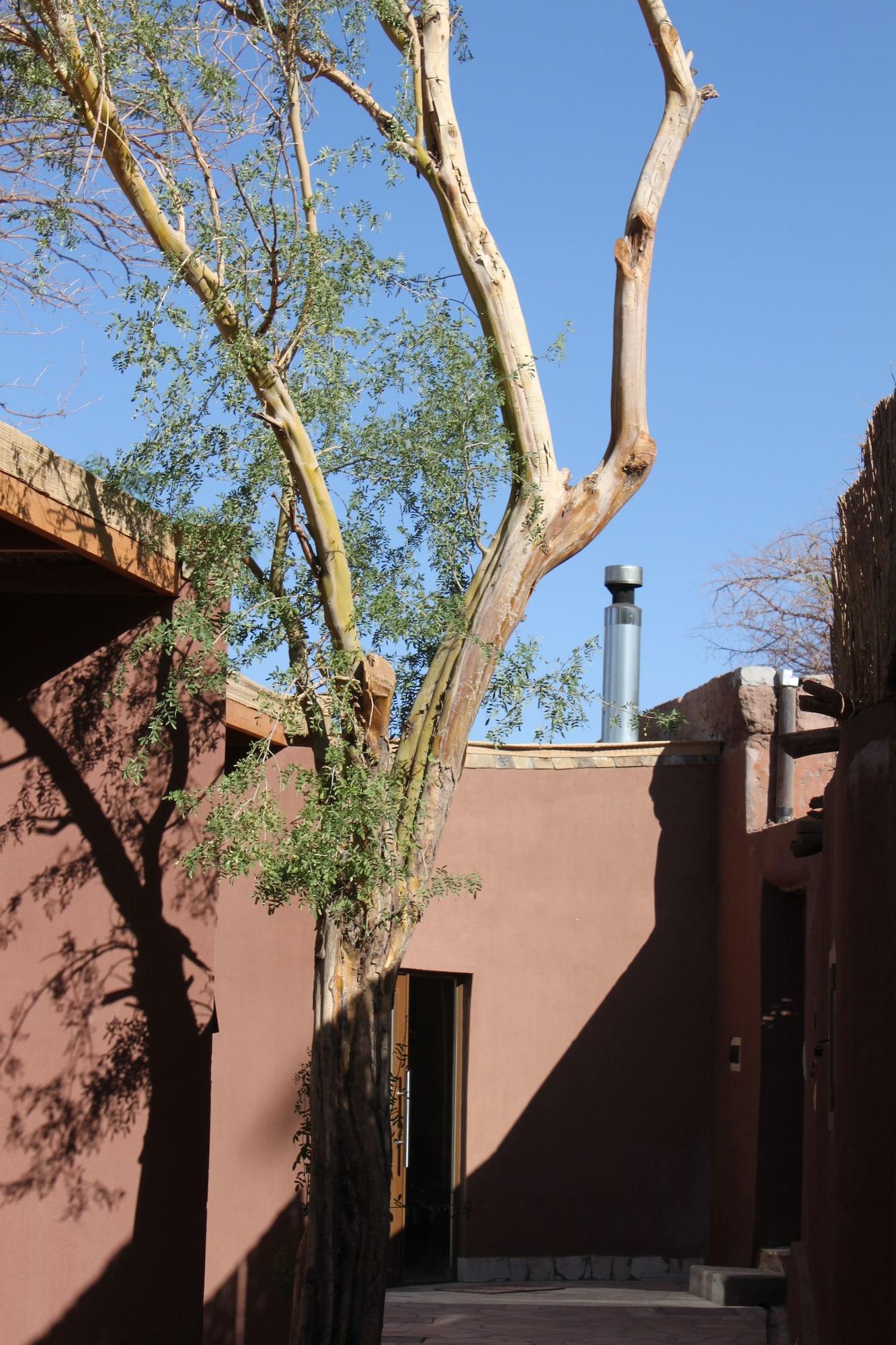 Vista Exterior Hard Road Atacama