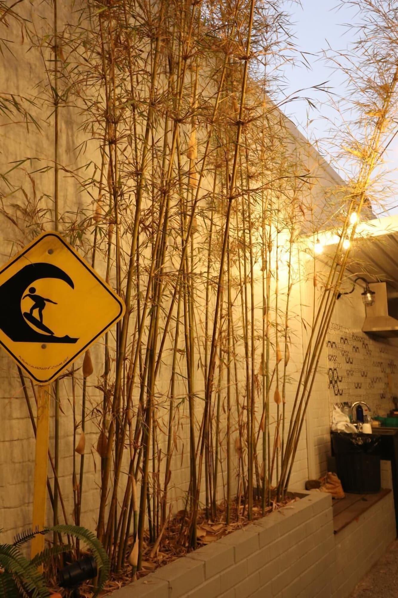 Vista Exterior Britannia on William - Hostel