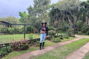 Alquiler Vacacional - beautiful house in the mountains in Costa Rica 2nd floor