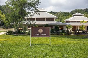 Alojamiento - Copal Tree Lodge, a Muy'Ono Resort