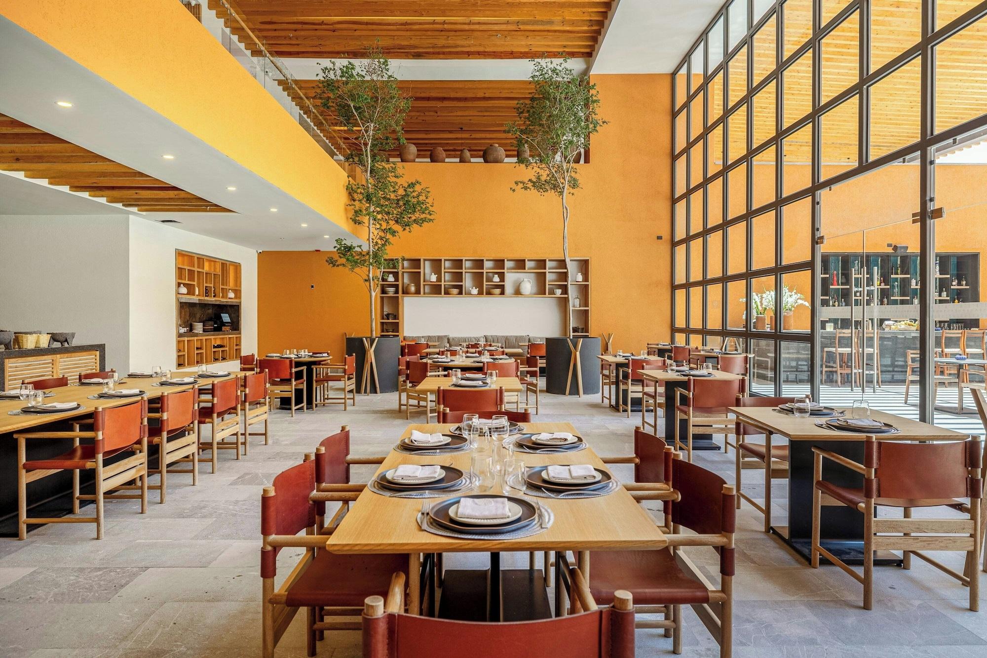 Restaurant Cleviá, San Miguel de Allende, Autograph Collection