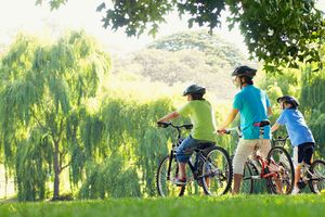 Actividad - Alquiler de bicicletas en Central Park