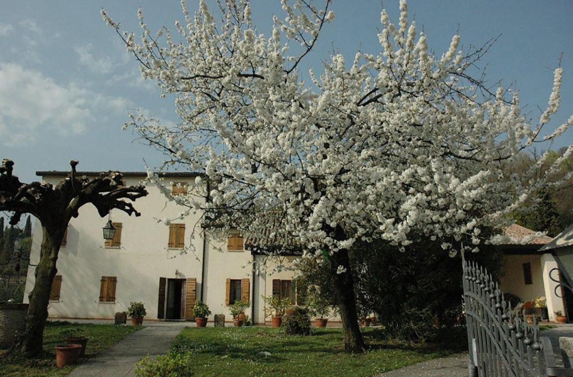 Varios Albergo Volpara