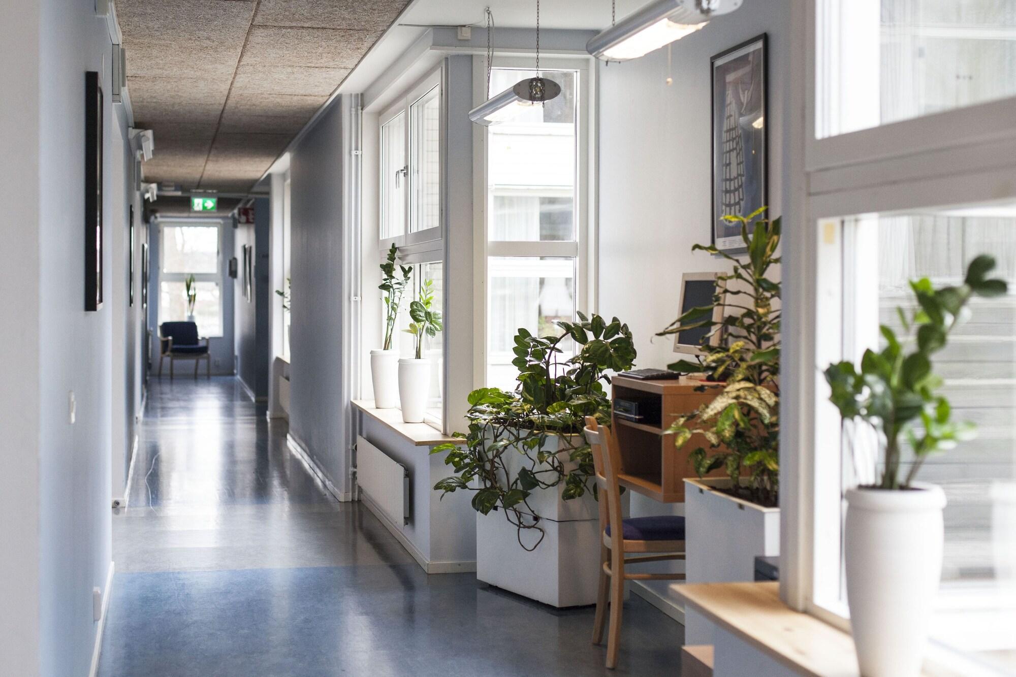 Vista Lobby Wendelsberg STF Hotell