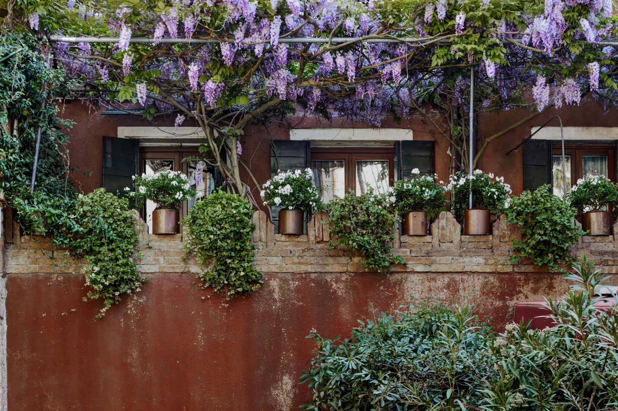 Vista Exterior Locanda Fiorita