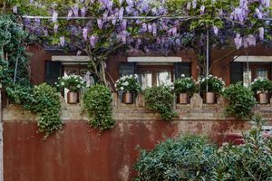 Alojamiento - Locanda Fiorita