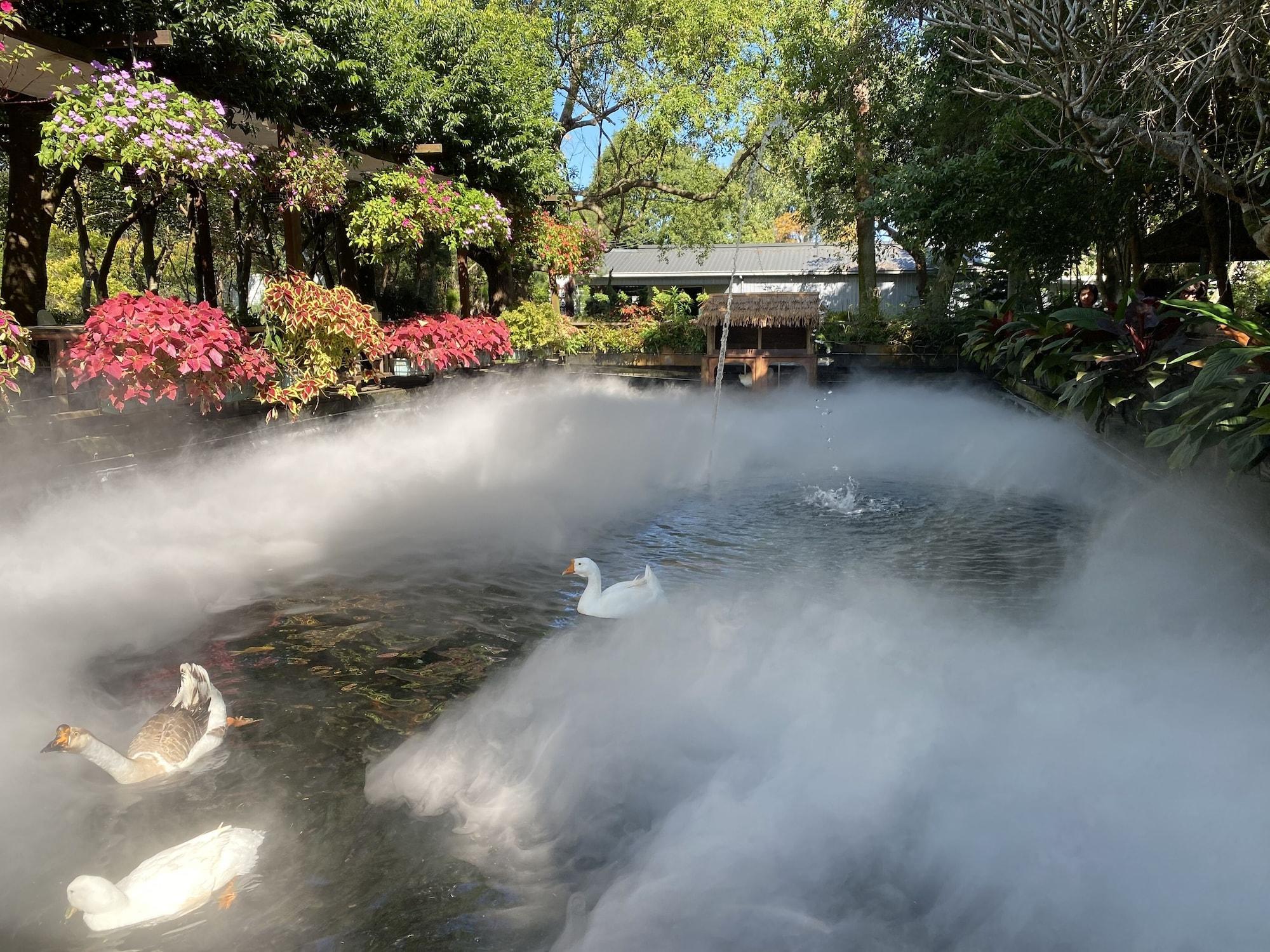 Vista Exterior FlowerHome