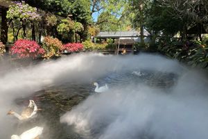 Alojamiento - FlowerHome